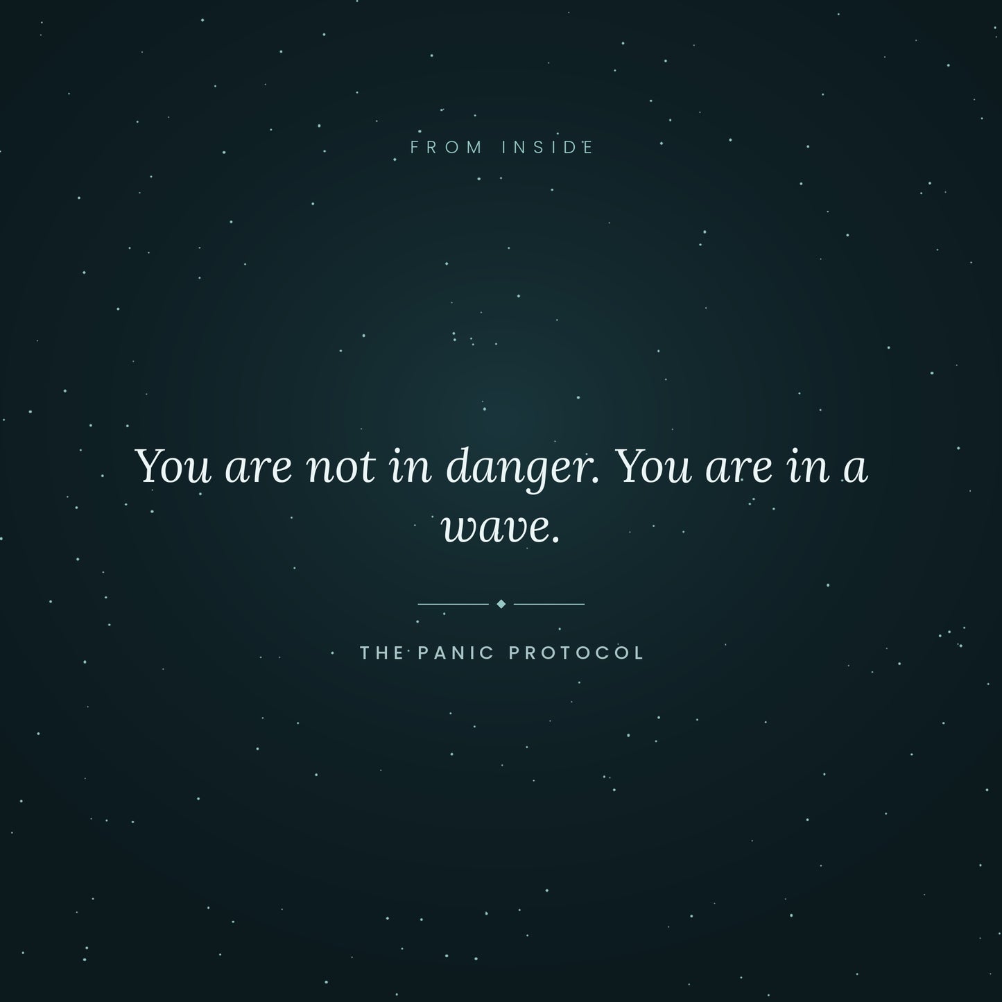 The Panic Protocol — A Field Manual for When Your Body Decides It’s an Emergency/ Printable Anxiety Coping Guide